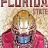 Florida State Seminoles Paint By Number