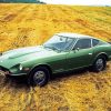 Green 1972 Nissan Fairlady Paint By Numbers