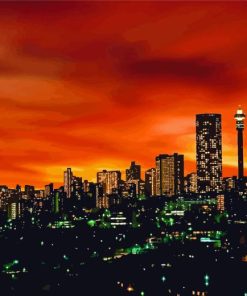 Johannesburg Skyline At Night Paint By Number