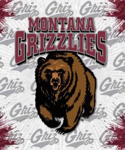 Montana Grizzlies Team Logo Paint By Numbers