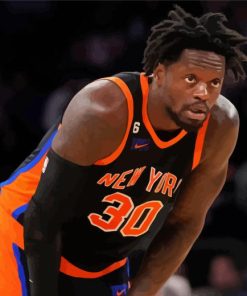 New York Knicks Basketballer Julius Randle Paint By Number
