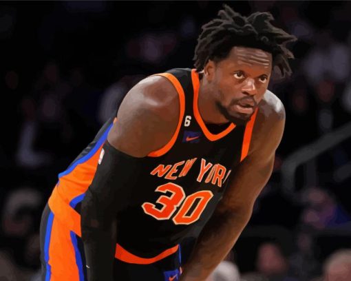 New York Knicks Basketballer Julius Randle Paint By Number