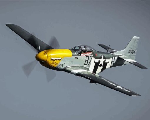 P51 Mustang Plane Paint By Number