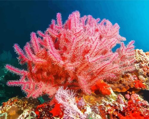 Pink Sea Fan Corals Paint By Numbers