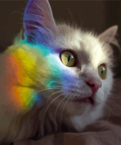 Rainbow Reflection On Cat Paint By Number