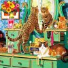 Tabby Cat Looking In The Mirror Paint By Numbers