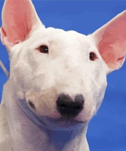 Adorable White Bull Terrier Dog Paint By Number