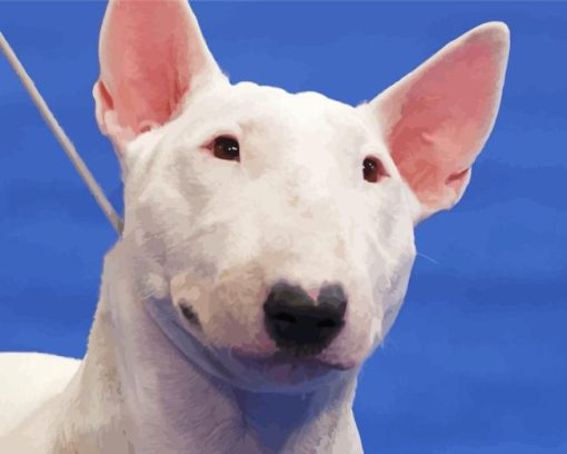 Adorable White Bull Terrier Dog Paint By Number