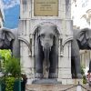 Elephant Fountain In Chambery Paint By Numbers