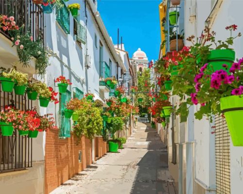 Estepona Street Paint By Number