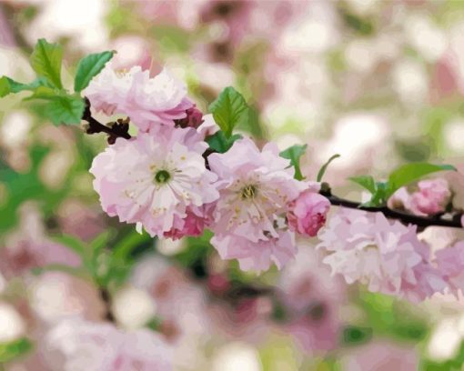 Flowering Almond Tree Paint By Number