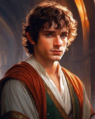 Frodo Baggins Art Paint By Numbers