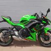 Green Kawasaki Ninja Motorcycle Paint By Number