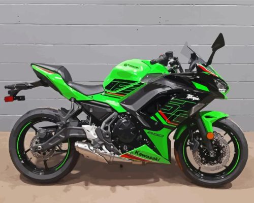 Green Kawasaki Ninja Motorcycle Paint By Number