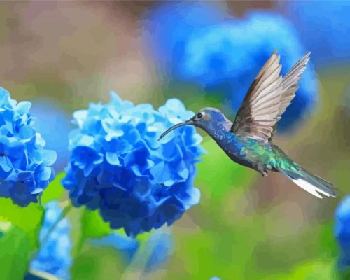 Hummingbird And Blue Hydrangeas Paint By Number