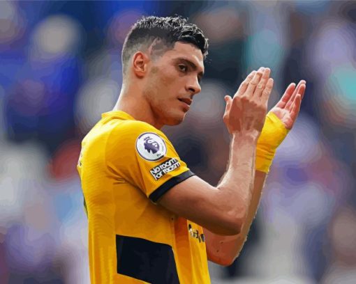 The Football Player Raul Jimenez Paint By Numbers