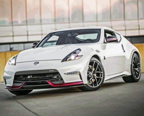 White 370z Car Paint By Number