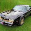 1978 Trans Am Paint By Numbers