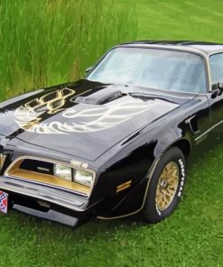 1978 Trans Am Paint By Numbers