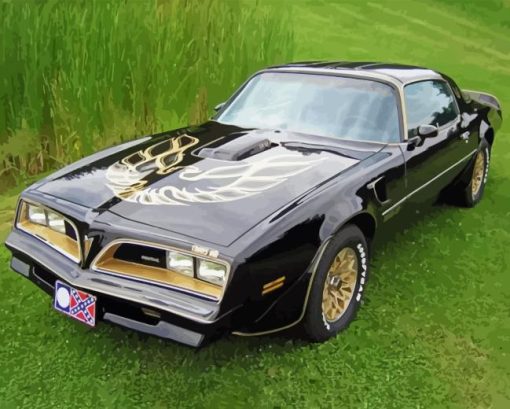 1978 Trans Am Paint By Numbers