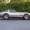 1979 Chevrolet Corvette Paint By Numbers