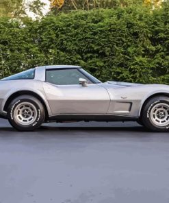 1979 Chevrolet Corvette Paint By Numbers