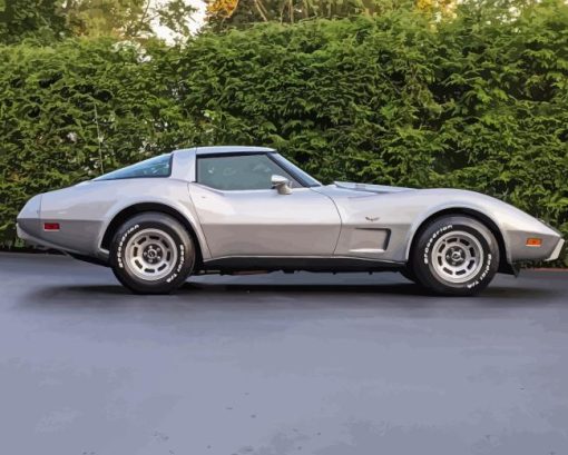 1979 Chevrolet Corvette Paint By Numbers