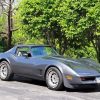 1981 Corvette Paint By Number