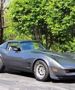 1981 Corvette Paint By Number