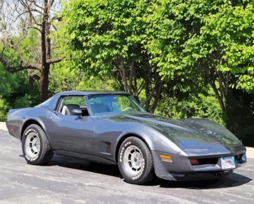 1981 Corvette Paint By Number