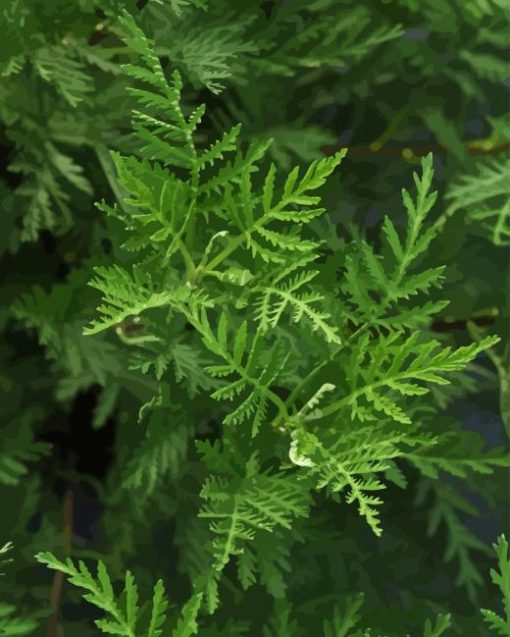 Green Artemisia Paint By Number