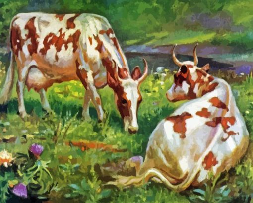 Ayrshire Cows Paint By Number