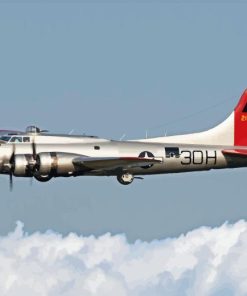 B17 Aluminum Overcast Paint By Number