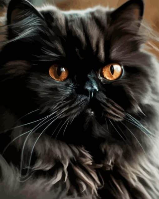 Black Persian Cat Paint By Number