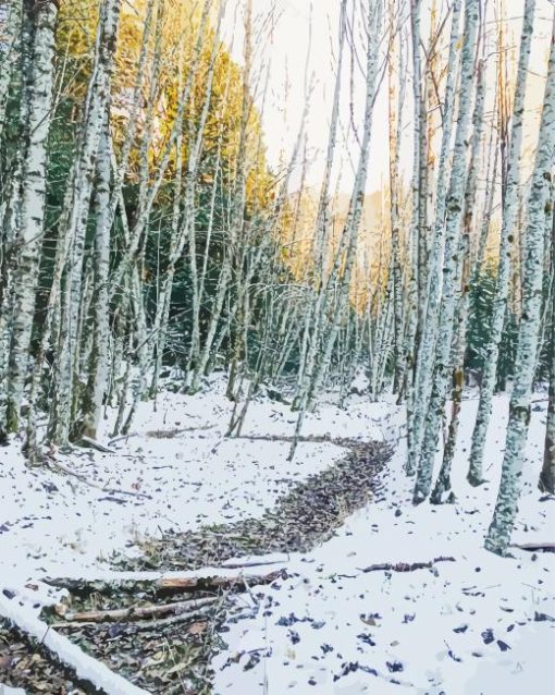 Birch Trees Forest In Winter Paint By Numbers