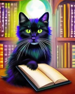 Black Cat In Library Paint By Numbers