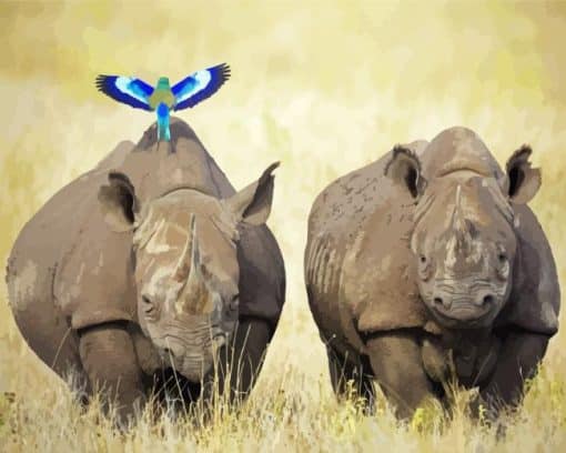 Black Rhino With Blue Bird Paint By Numbers