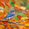 Blue Bird In Autumn Paint By Number