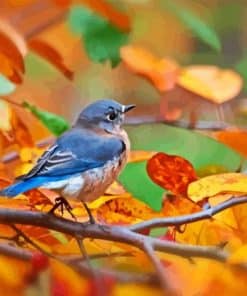 Blue Bird In Autumn Paint By Number