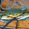 Blue Crab Paint By Numbers