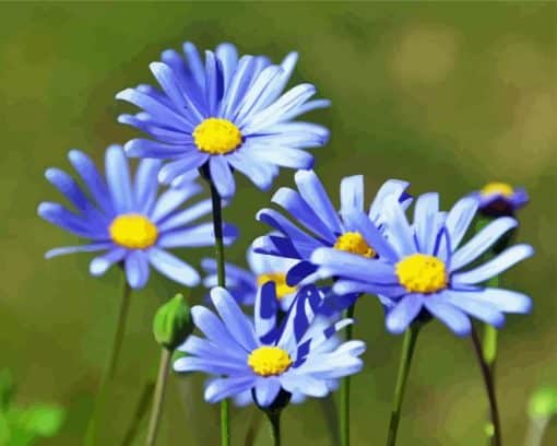 Blue Daisy Flower Paint By Number