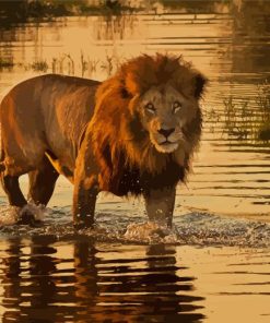 Botswana Lion Paint By Numbers