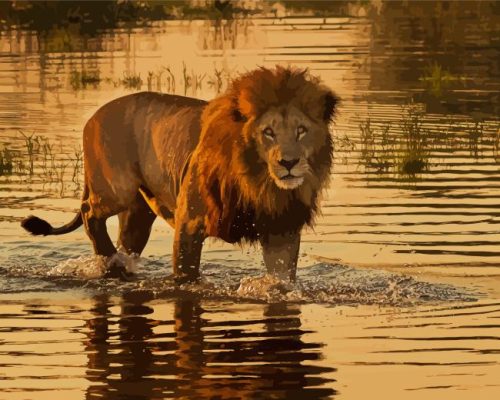 Botswana Lion Paint By Numbers