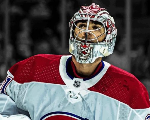 Carey Price Player Paint By Numbers