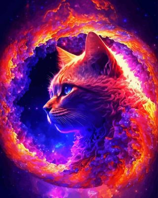 Cat Galaxy Paint By Number