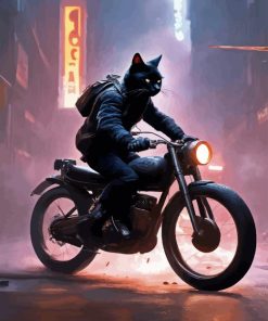 Cat On Motorcycle Paint By Number