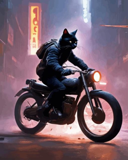 Cat On Motorcycle Paint By Number