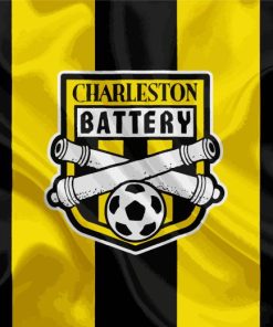 Charleston Battery Logo Paint By Numbers