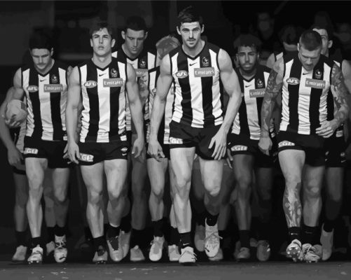 Collingwood Football Team Paint By Number