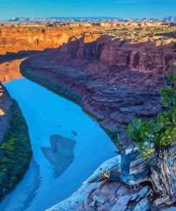 Colorado River Paint By Number